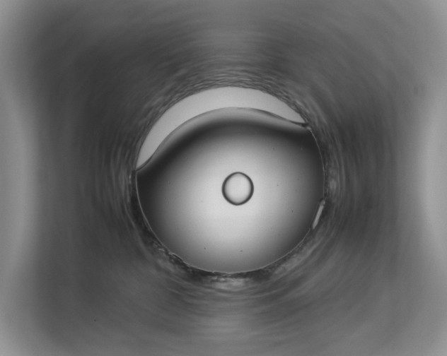 X0000112830332200909041507