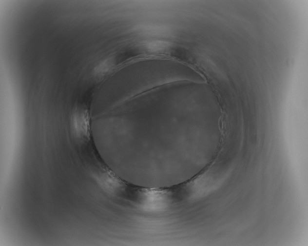 X0000112830336200909041507