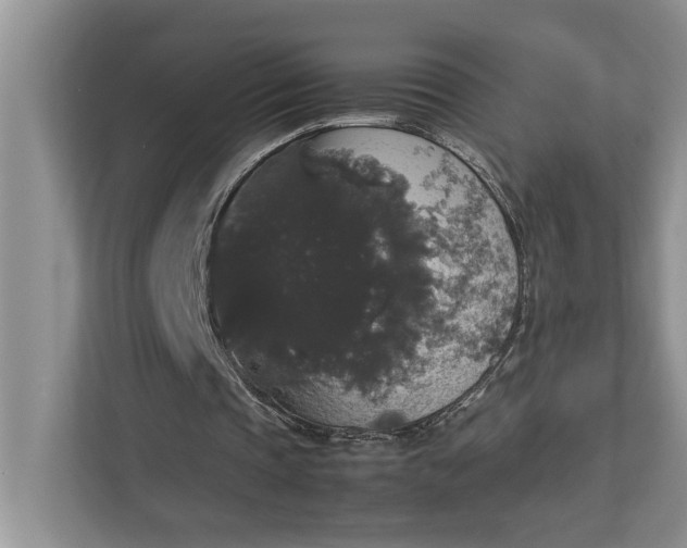 X0000112830337200909041507