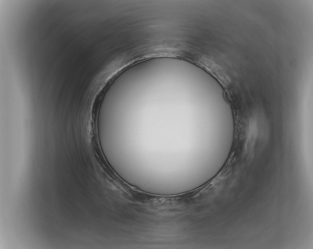 X0000112830338200909041507