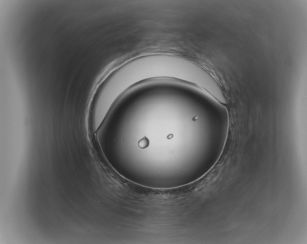 X0000112830340200909041507