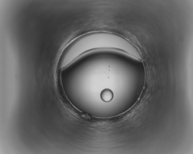 X0000112830344200909041507