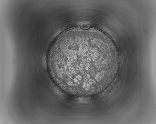 X0000112830345200909041507