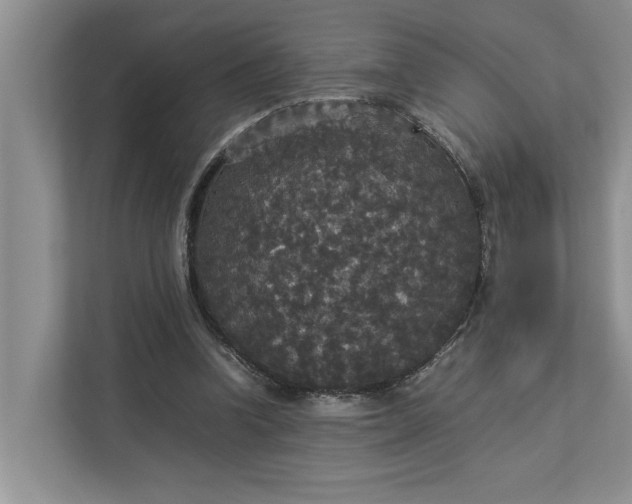 X0000112830346200909041507