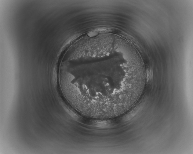 X0000112830349200909041507