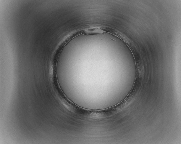 X0000112830350200909041507