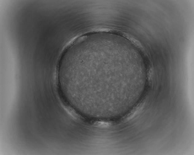 X0000112830352200909041507