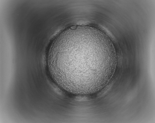 X0000112830354200909041507