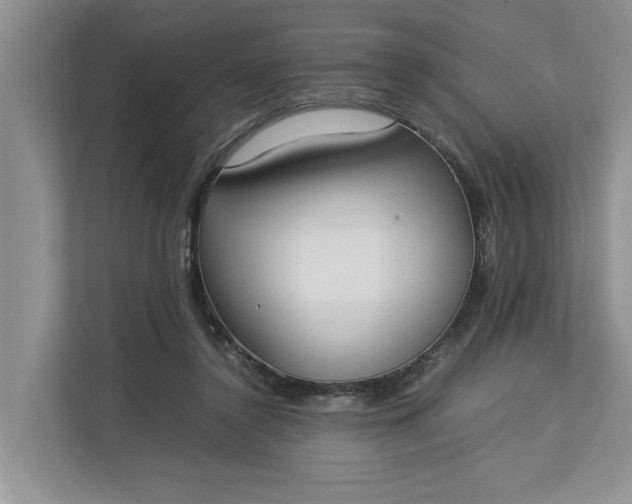 X0000112830356200909041507