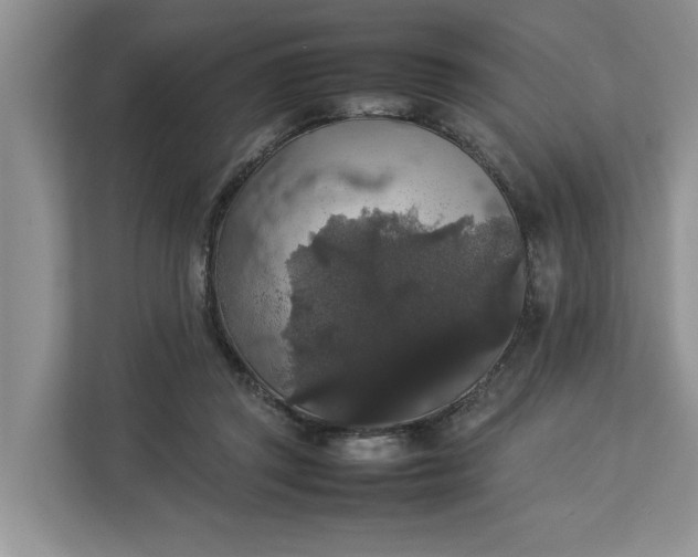 X0000112830357200909041507