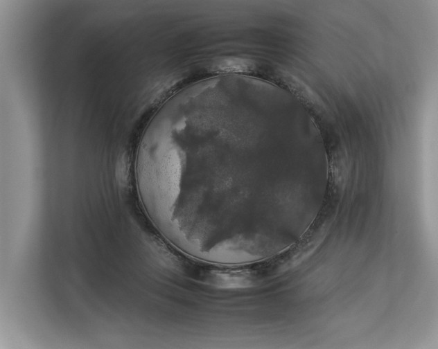 X0000112830359200909041507