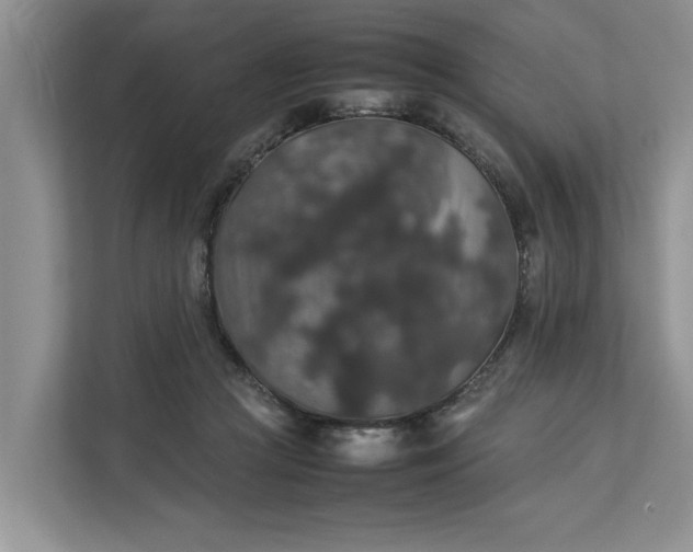 X0000112830361200909041507