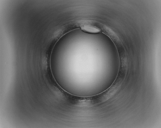 X0000112830362200909041507