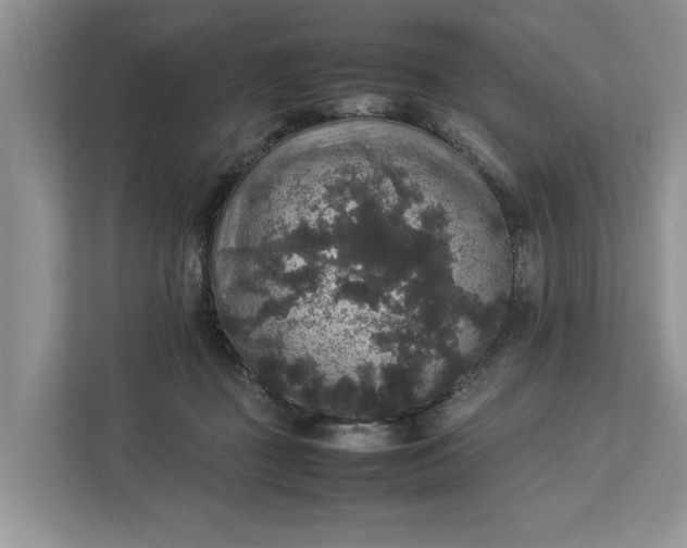 X0000112830363200909041507