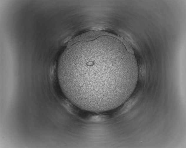 X0000112830364200909041507