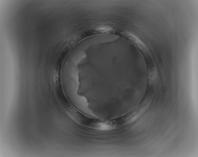 X0000112830365200909041507