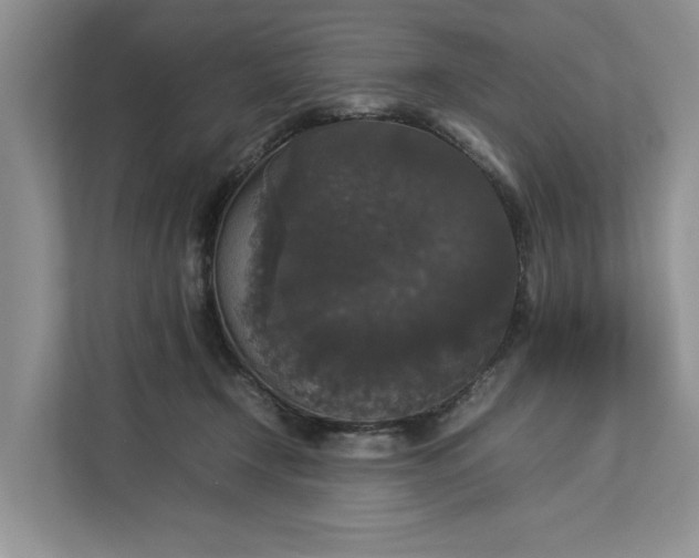 X0000112830366200909041507