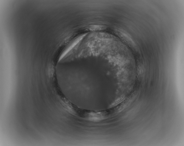 X0000112830367200909041507