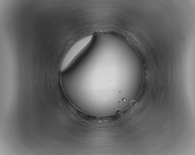 X0000112830368200909041507