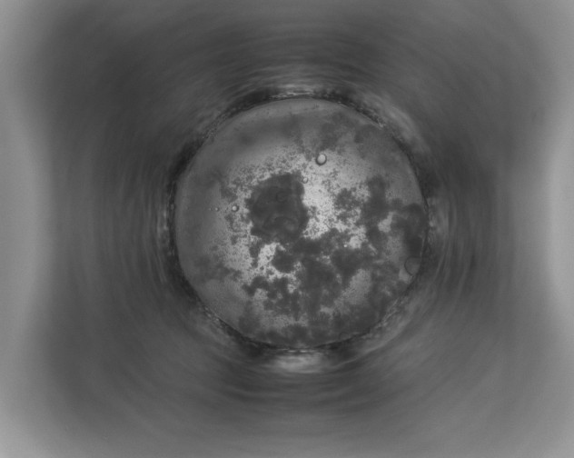 X0000112830369200909041507