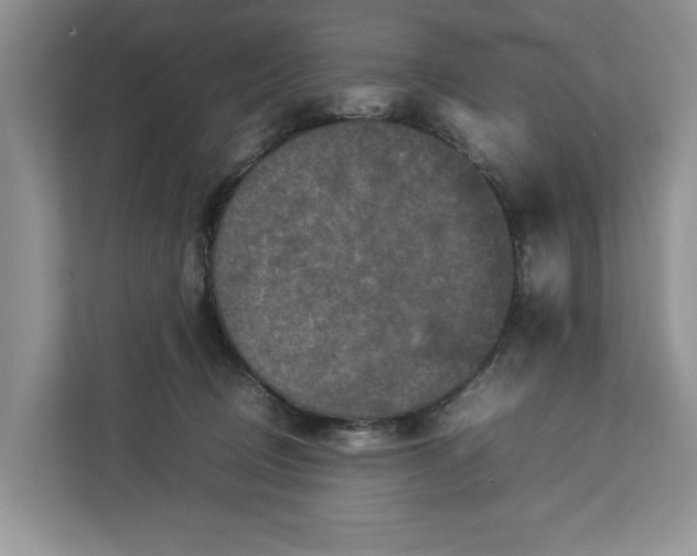 X0000112830370200909041507