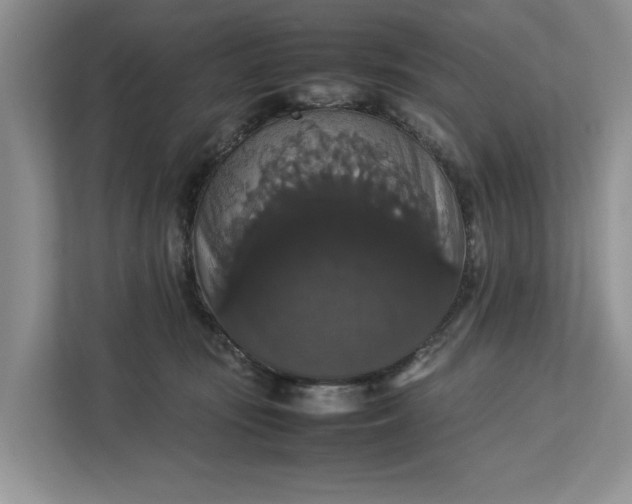 X0000112830371200909041507