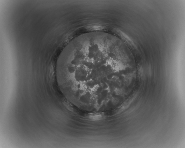 X0000112830373200909041507