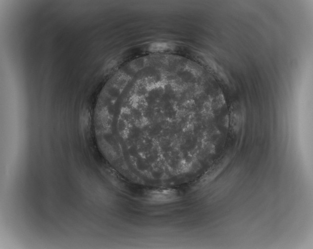 X0000112830375200909041507