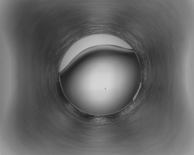 X0000112830376200909041507