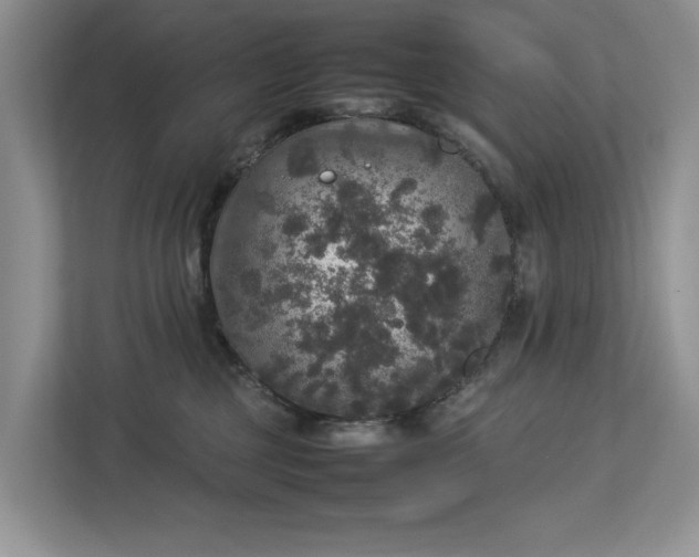 X0000112830377200909041507