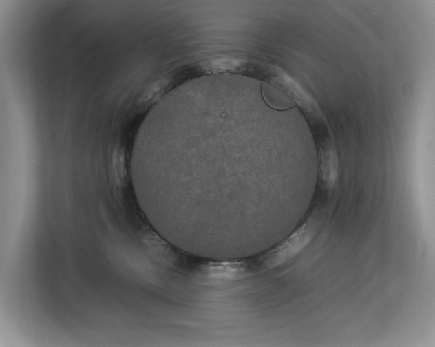 X0000112830378200909041507