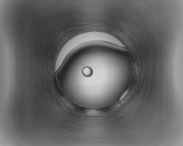 X0000112830380200909041507