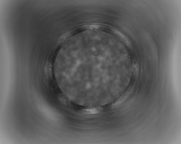 X0000112830381200909041507