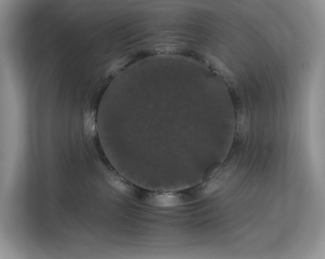 X0000112830383200909041507