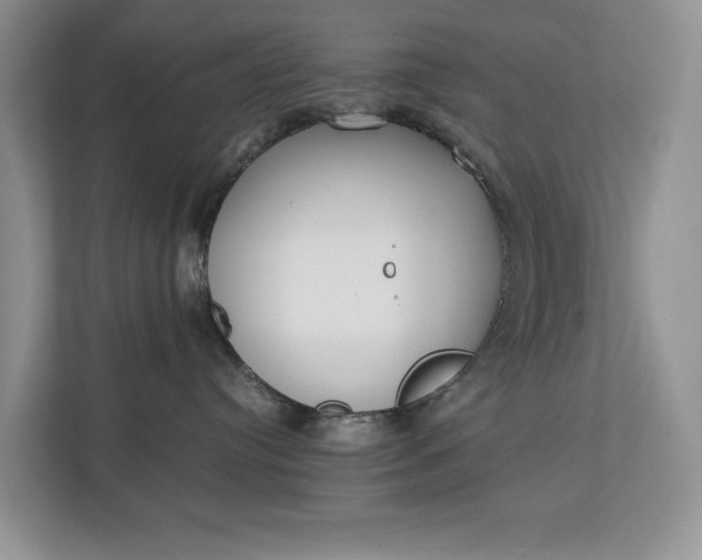 X0000112830384200909041507