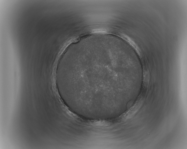 X0000112830385200909041507