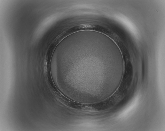 X0000112830387200909041507