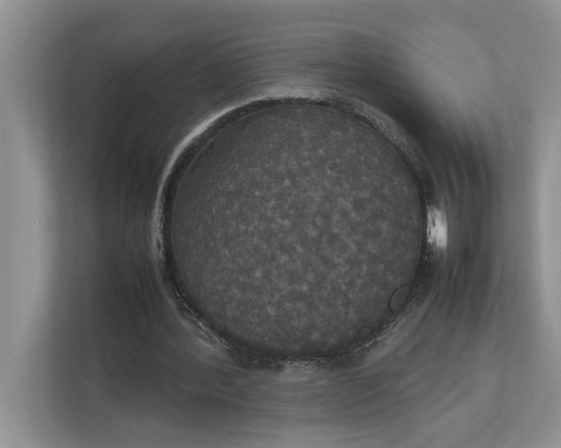 X0000112830388200909041507