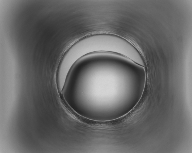 X0000112830389200909041507