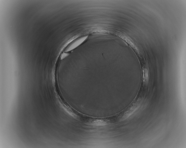 X0000112830390200909041507