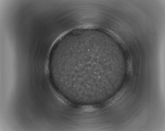 X0000112830392200909041507