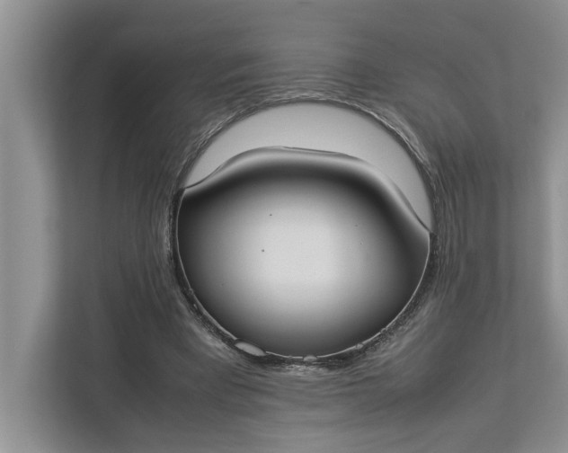 X0000112830393200909041507