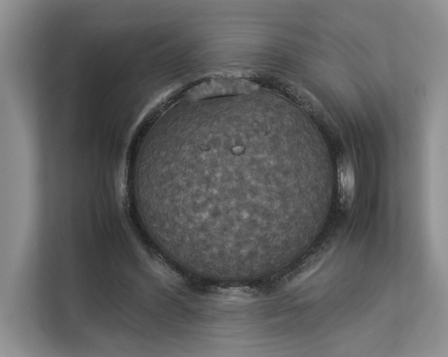 X0000112830396200909041507