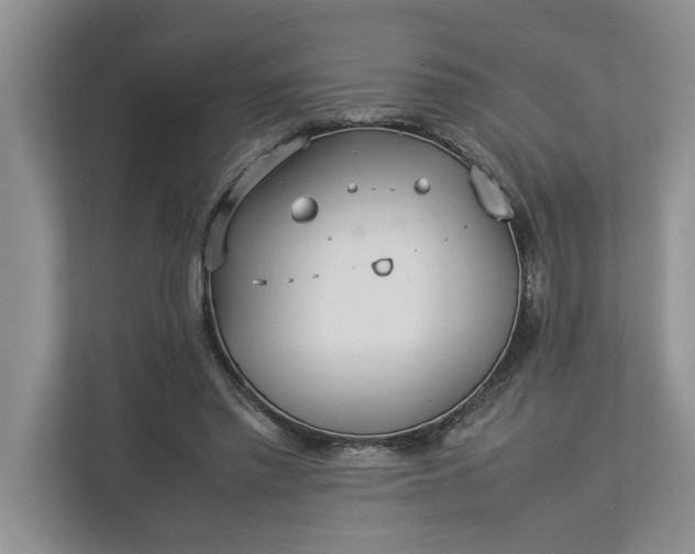 X0000112830397200909041507