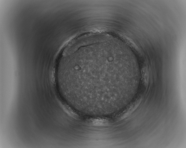 X0000112830400200909041507