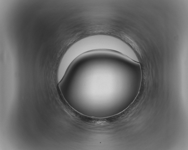 X0000112830401200909041507