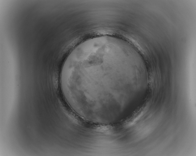 X0000112830402200909041507