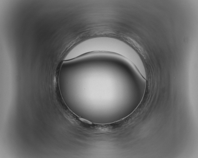 X0000112830405200909041507