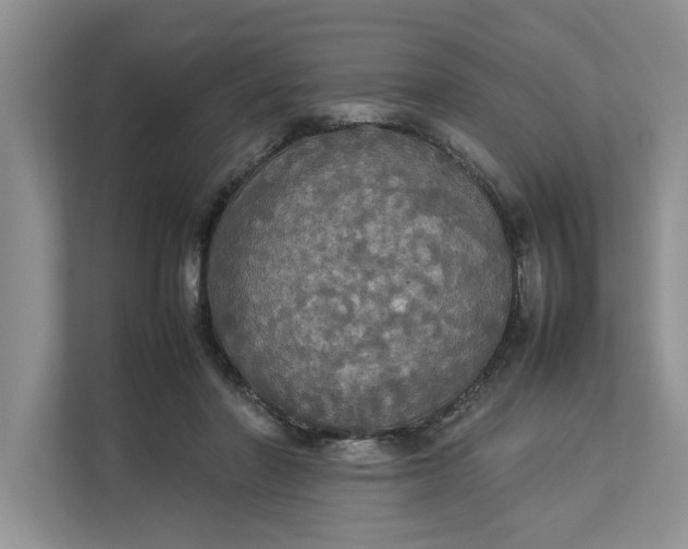 X0000112830406200909041507