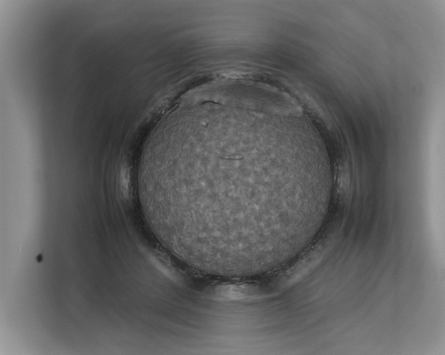 X0000112830408200909041506